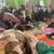 Mopti - Art et changement