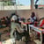 San - Activités Socio récréatives dans l'espace sûr  de San - Moussoya Djala